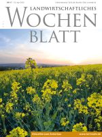 Ausgabe 17/2020 Ausgabe 17/2020