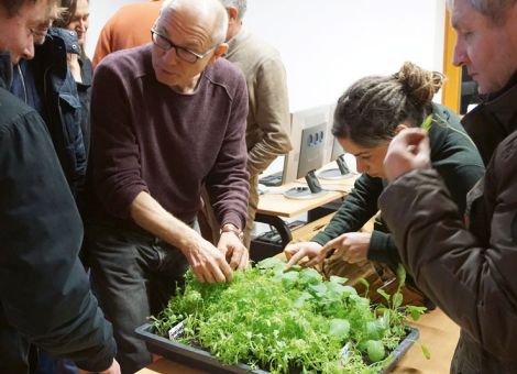 Edamame, Knoblauch, Kalettes und Wildkräuter