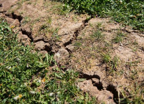 Klöckner verspricht Hilfe im Fall einer erneuten Dürre 