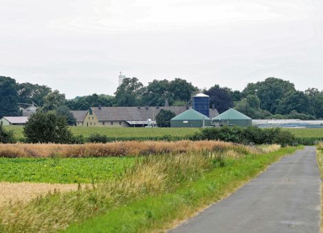 Post-EEG für Biogas- und Photovoltaikanlagen 