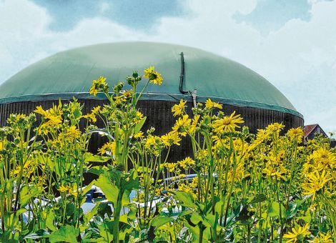 KTBL-Tagung zur landwirtschaftlichen Energienutzung