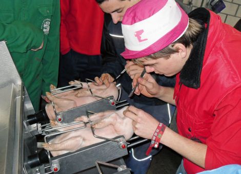 Isofluran-Narkosegeräte für die Ferkelkastration zertifiziert
