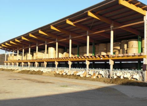 Stall für Mutterkühe in Bad Arolsen-Landau gebaut