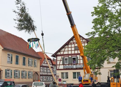 Der Maibaum 2020 steht