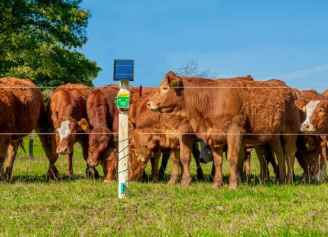 Patura GSM: neues Weidezaun-Alarm-System