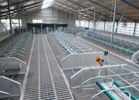 Wasserbett-Matratzensystem für Milchvieh in Freilaufställen
