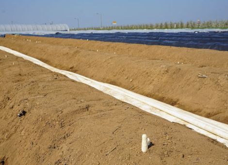 Dem Spargel geht die Reserve aus