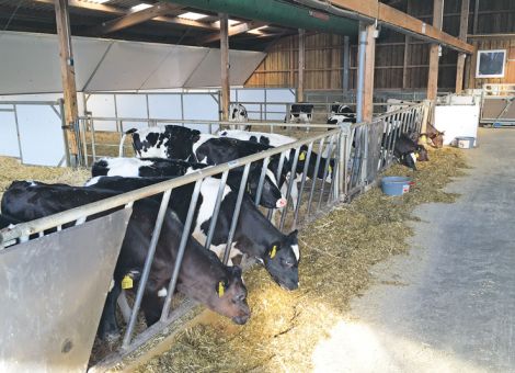 Arbeitserledigungskosten in der Milchviehhaltung), 