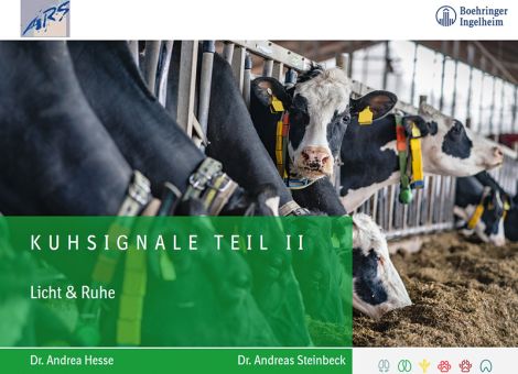 Wir bleiben zu Hause – Webinar statt Präsenzunterricht! 