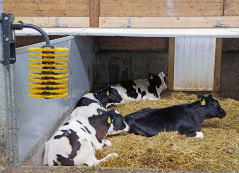Schon kleine Veränderungen können große Wirkung bringen
