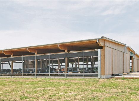 Abkühlung in den Rinderstall einbauen
