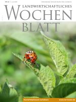 Ausgabe 23/2020 Ausgabe 23/2020
