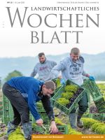 Ausgabe 25/2020 Ausgabe 25/2020