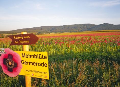 NE-Landwirt am Meißner schafft touristisches Highlight