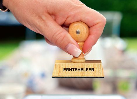 Einreisebeschränkungen für Saisonarbeitskräfte fallen