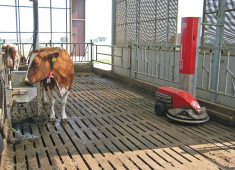 Reinigungsroboter: Hygiene fördert Klauen- und Eutergesundheit
