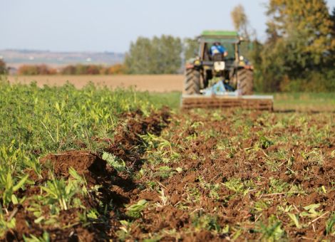 Den Reststickstoff im Herbst möglichst niedrig halten