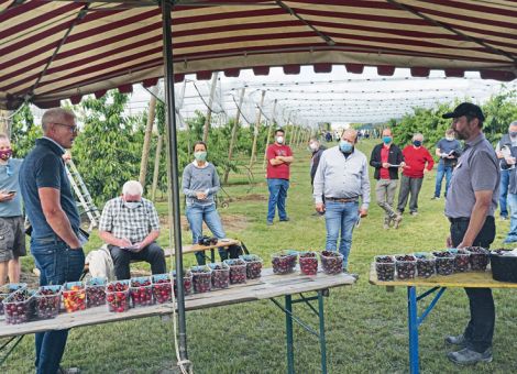 Kirschentag Rheinland-Pfalz trotz Corona durchgeführt