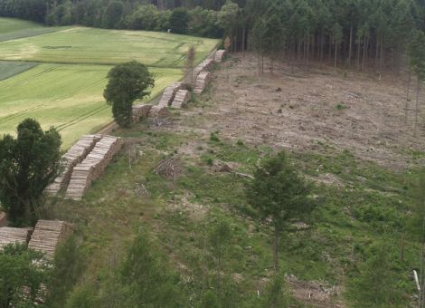 Hessens Waldbesitzer fordern schnelle Liquiditätshilfe