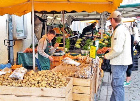 Frühkartoffelanbau in Deutschland stabil geblieben 