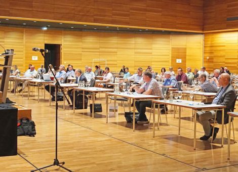 Unbeeindruckt gedeihen die Weinberge im neuen Jahrgang