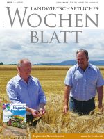Ausgabe 28/2020 Ausgabe 28/2020