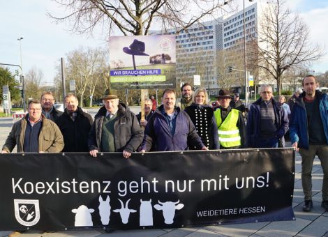 Zunehmend Probleme mit Wölfen in Hessen
