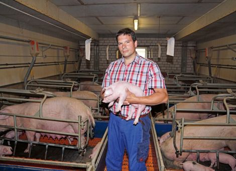 Herausforderung Sauenhaltung