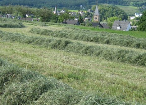 Willkommene Unterstützung für viehhaltende Betriebe 