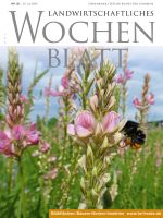 Ausgabe 30/2020 Ausgabe 30/2020
