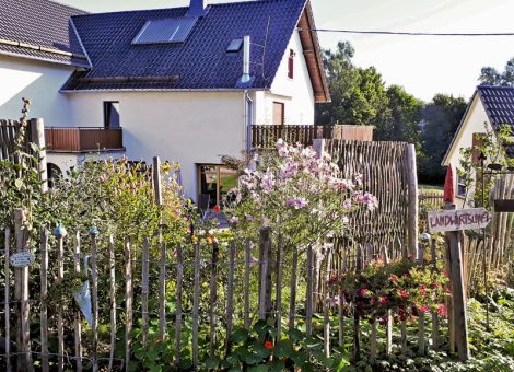 Kreative Ideen und Bereitschaft zur Unordnung 