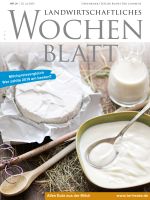 Ausgabe 31/2020 Ausgabe 31/2020