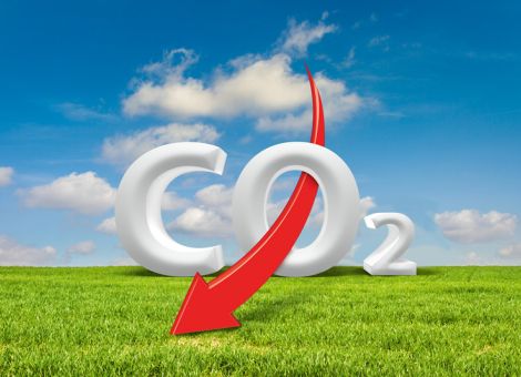 Klimawandel versus Züchtung – wer hat die Nase vorn?