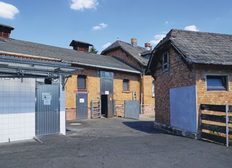 Regionale Fleischverarbeitung im Büdinger Schlachthof