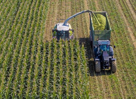 Erntezeitpunkt für Silomais mit „MaisProg“ bestimmen