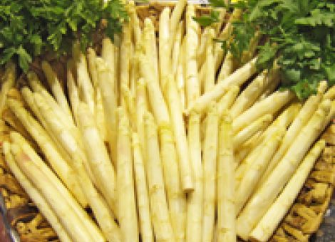 Spargel mit Schweinefilet