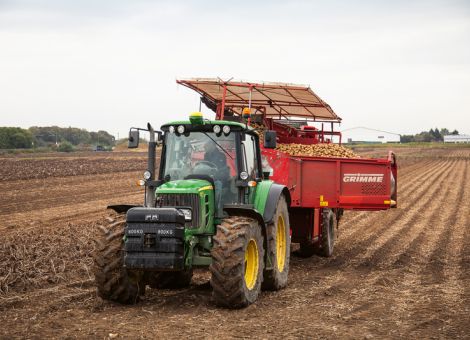 Durchschnittliche Frühkartoffel-Ernte bei Pfälzer Grumbeere