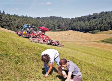 Die Grünland-Nachsaat richtig planen