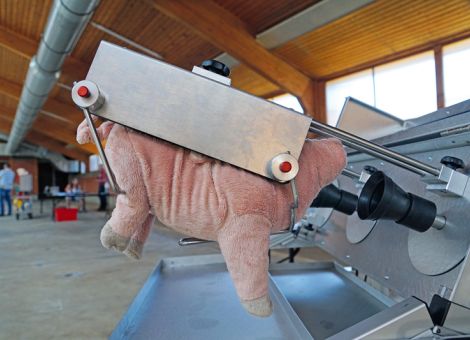 Gut vorbereitet – Isofluran richtig anwenden