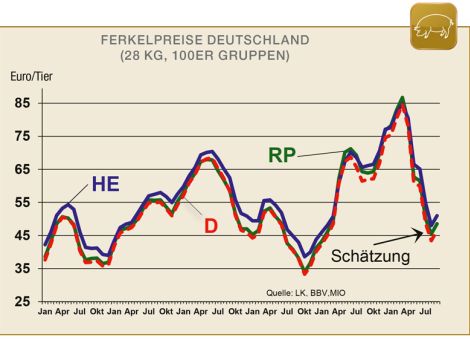Ferkelpreise im September meist moderat steigend