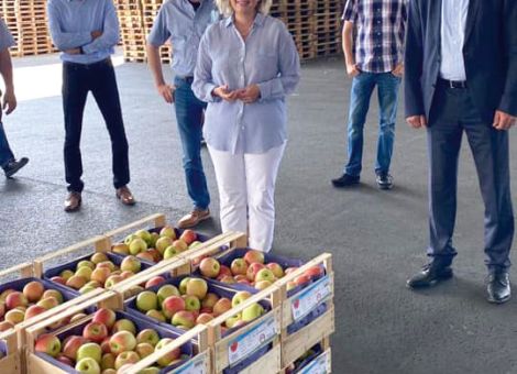 Genossenschaftliche Steinobstvermarktung erläutert