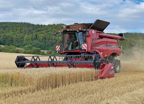Erneut unterdurchschnittliche Getreideernte in Deutschland
