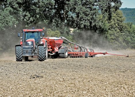 Zwischenfruchtanbau und Wasserversorgung