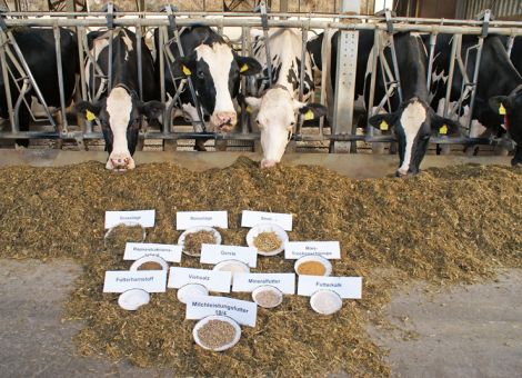Die Grassilagen 2020 sind eine Herausforderung