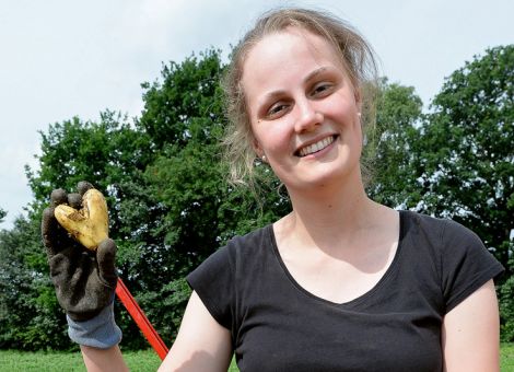 Kartoffeleinkäufe auch im Juli höher