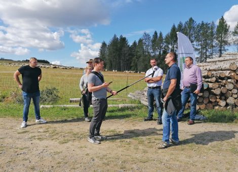 Stölzinger Wölfin geht über alle Zäune