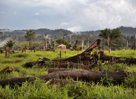 „Sehr skeptisch“ gegenüber Mercosur-Abkommen