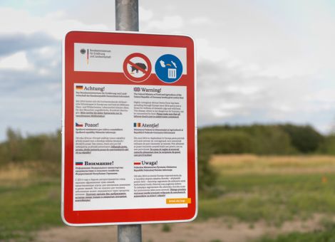 China verhängt Importstopp – Starker Preiseinbruch