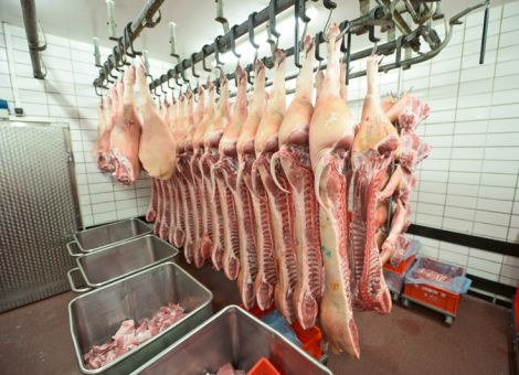 Schweinepreise stabil halten!