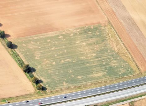 Trockene Jahre lassen die Population wieder anwachsen